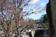 18-04-2008-04-50-10-2304x1728